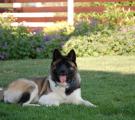 DSC_0091 kopie.jpg